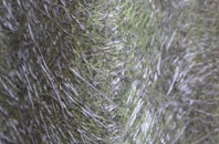 Stourton Hill fibreglass roof work